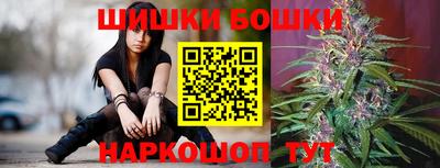 амф Новозыбков