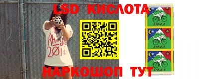 амф Новозыбков