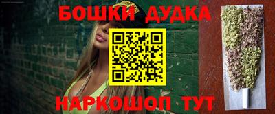 амф Новозыбков