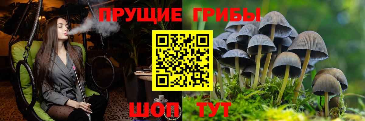 Псилоцибиновые грибы мухоморы Рассказово
